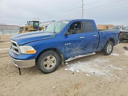 Dodge salvage cars for sale: 2010 Dodge RAM 1500