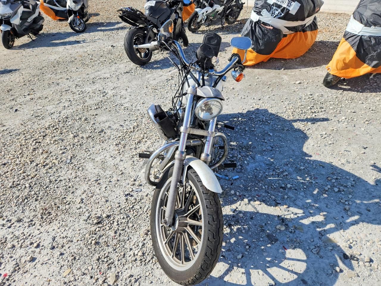 2006 Harley-Davidson XL883 L