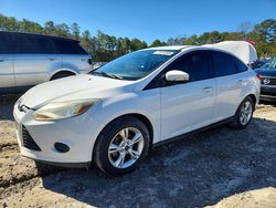 Ford Focus salvage cars for sale: 2013 Ford Focus se
