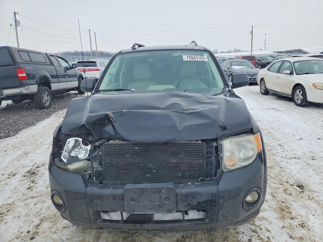 2010 Ford Escape xlt