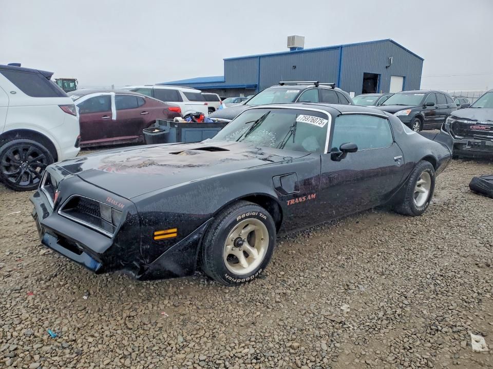 1981 Pontiac Firebird Trans am