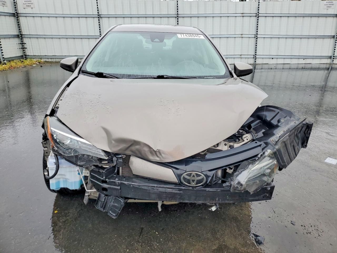 2019 Toyota Corolla l