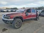 2001 Dodge Dakota Quattro