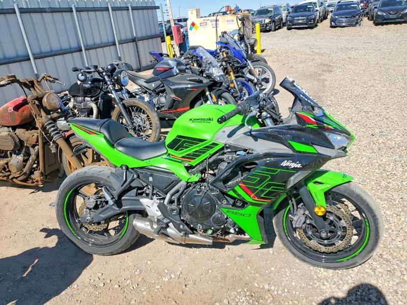 2024 Kawasaki EX650 P