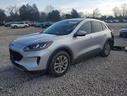 Ford Escape salvage cars for sale: 2020 Ford Escape se