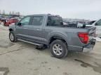2025 Ford F150 xlt