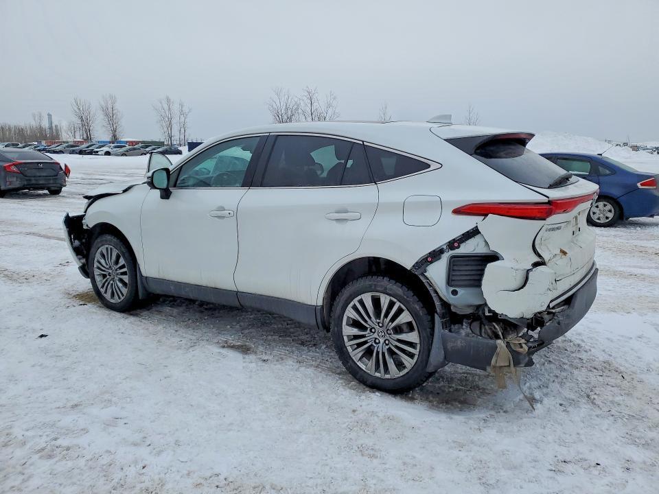 2024 Toyota Venza le