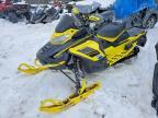 2021 Skidoo Renegade