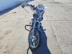 2004 Harley-Davidson XL883 C