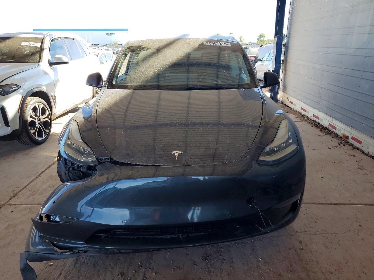 2020 Tesla Model y