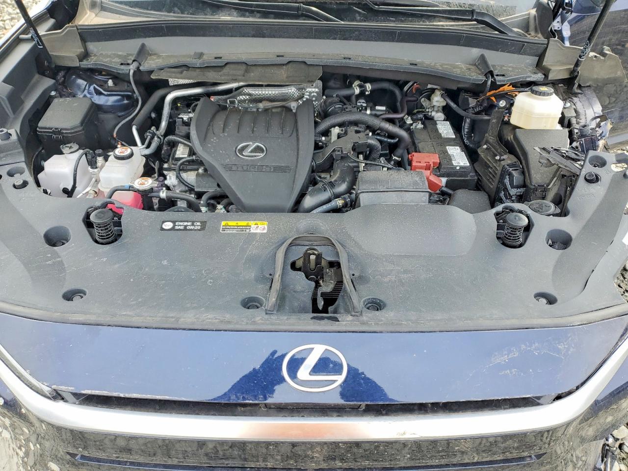 2024 Lexus Tx 350 Base