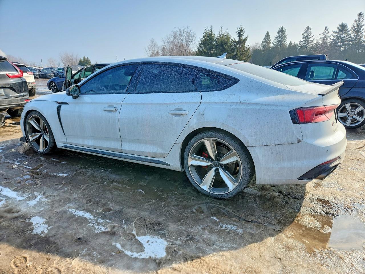 2019 Audi RS5
