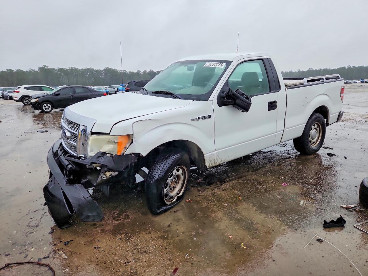 2010 Ford F150