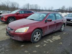 2005 Honda Accord ex for sale in Marlboro, NY