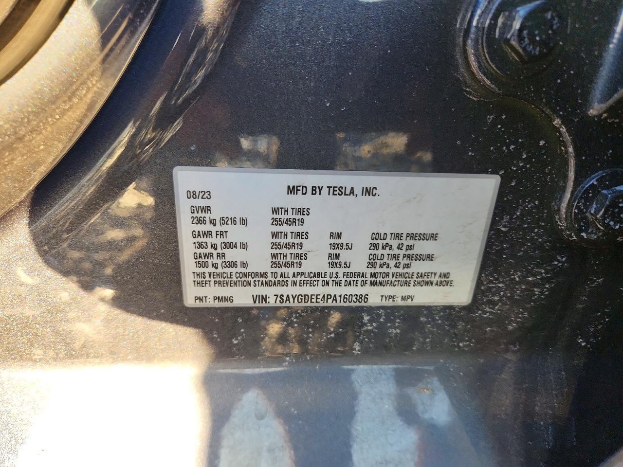 2023 Tesla Model y