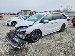 2024 Honda Odyssey Elite for sale in Wayland, MI