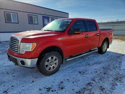 Ford salvage cars for sale: 2011 Ford F150 Supercrew