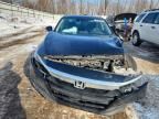 2019 Honda Accord ex