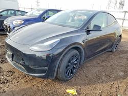 Tesla salvage cars for sale: 2023 Tesla Model y