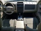 2011 Ford Escape xls