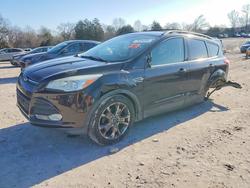 Ford Escape salvage cars for sale: 2013 Ford Escape se