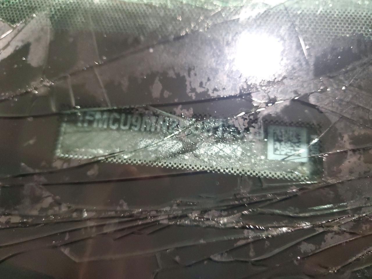 2024 Ford Escape st Line