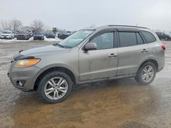 Hyundai salvage cars for sale: 2011 Hyundai Santa fe gls