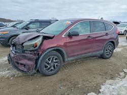 Honda crv Vehiculos salvage en venta: 2016 Honda Cr-v se