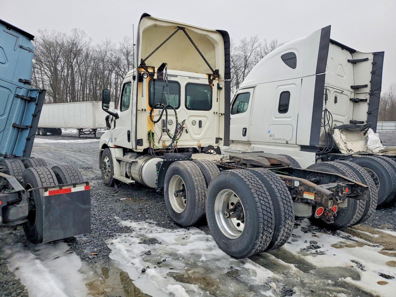 2019 Freightliner Cascadia 126 Semi Truck