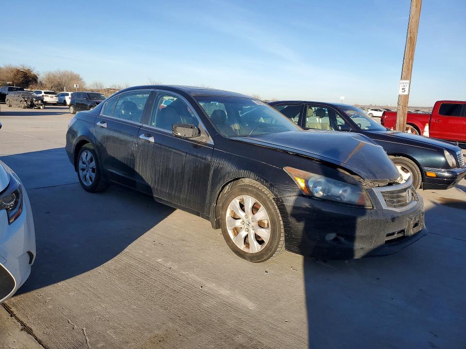 2010 Honda Accord exl