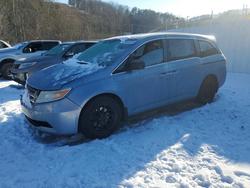 Honda salvage cars for sale: 2013 Honda Odyssey exl