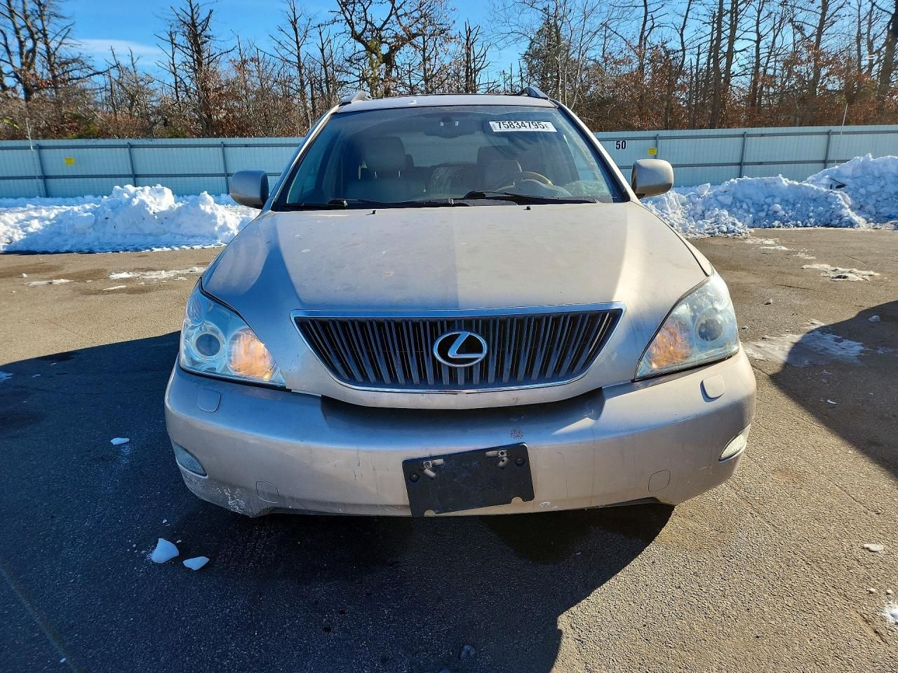 2004 Lexus Rx 330