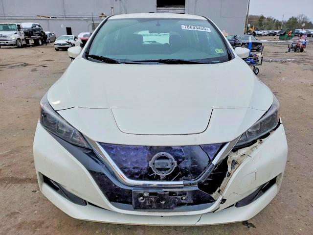 2018 Niss Leaf sv