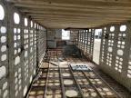 2017 Wilson Hogtrailer 2017 Wilson PSDCL-402 Livestock Trailer