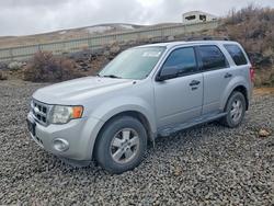 Vehiculos salvage en venta de Copart Reno, NV: 2009 Ford Escape xlt