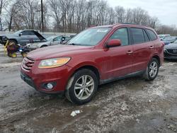 Hyundai Vehiculos salvage en venta: 2011 Hyundai Santa fe Limited