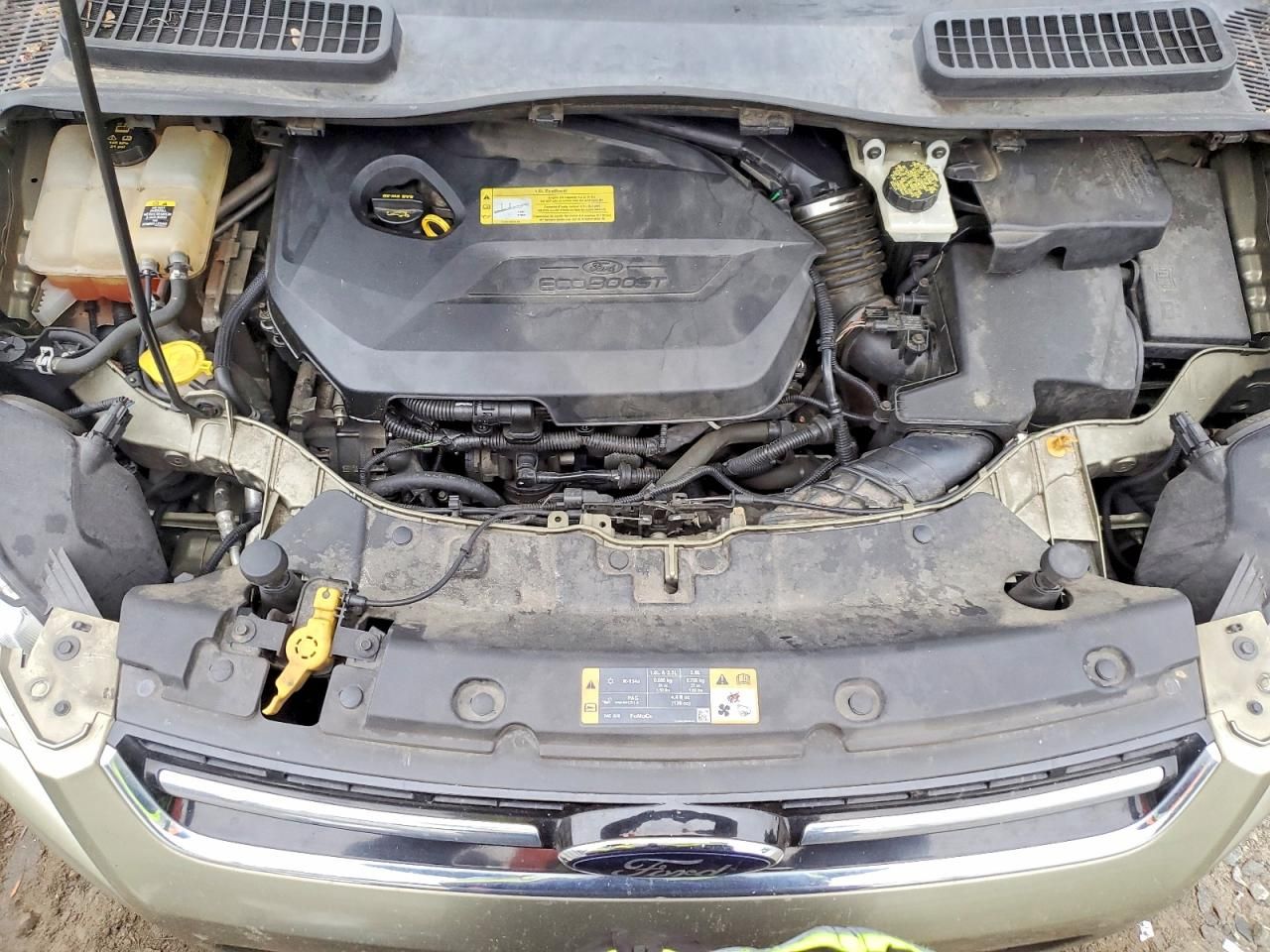 2013 Ford Escape sel