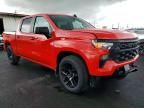 2024 Chevrolet Silverado C1500 Custom