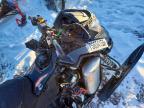 2017 Skidoo SM Renegade Enduro 1