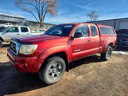 Salvage trucks for sale at Albuquerque, NM auction: 2005 Toyota Tacoma V6