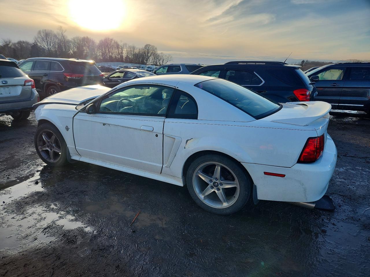 1999 Ford Mustang