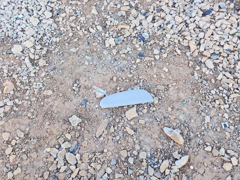 2006 Toyota Sienna le 8 Passenger