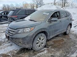 Honda crv Vehiculos salvage en venta: 2014 Honda Cr-v exl