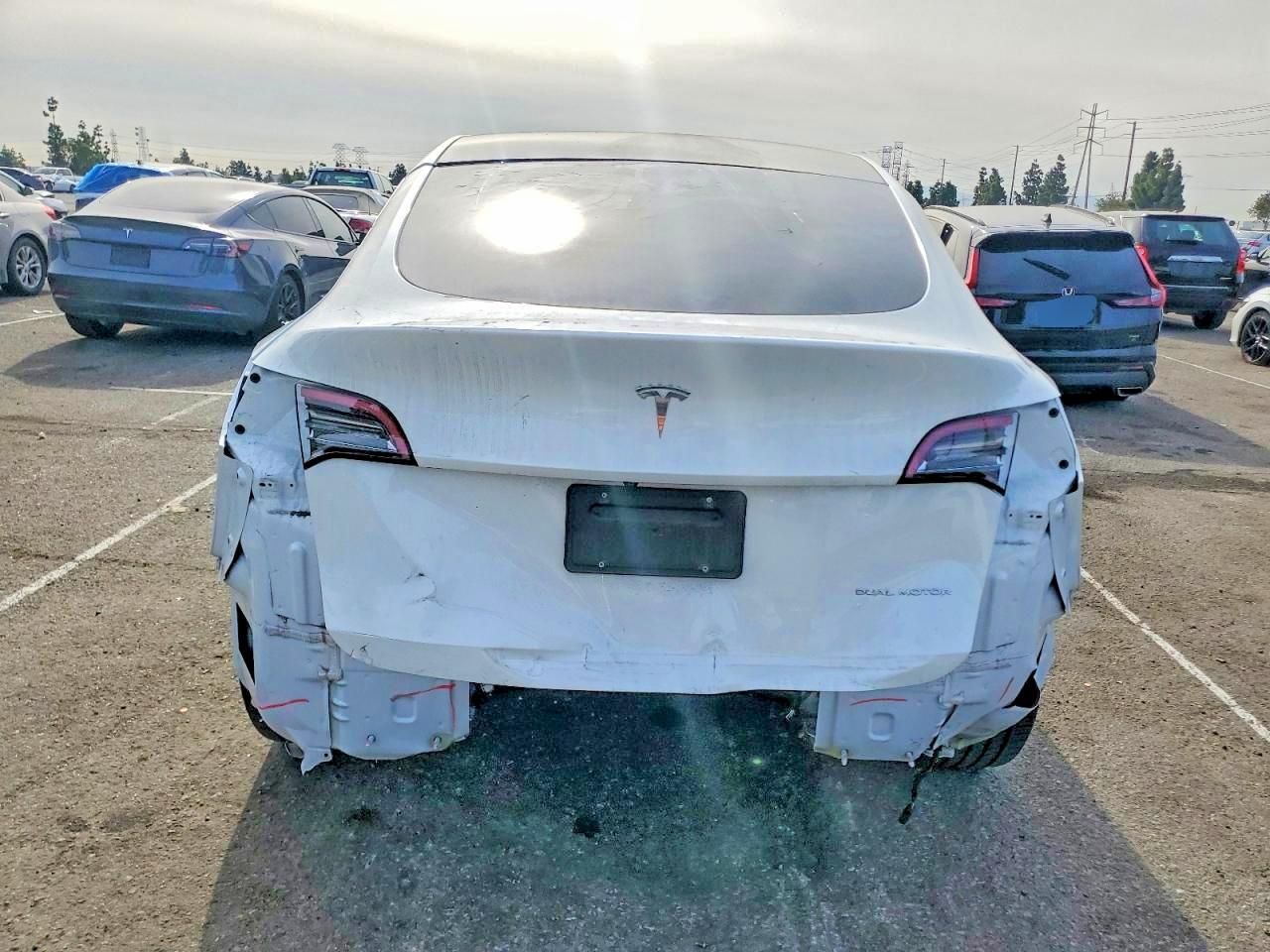 2020 Tesla Model y