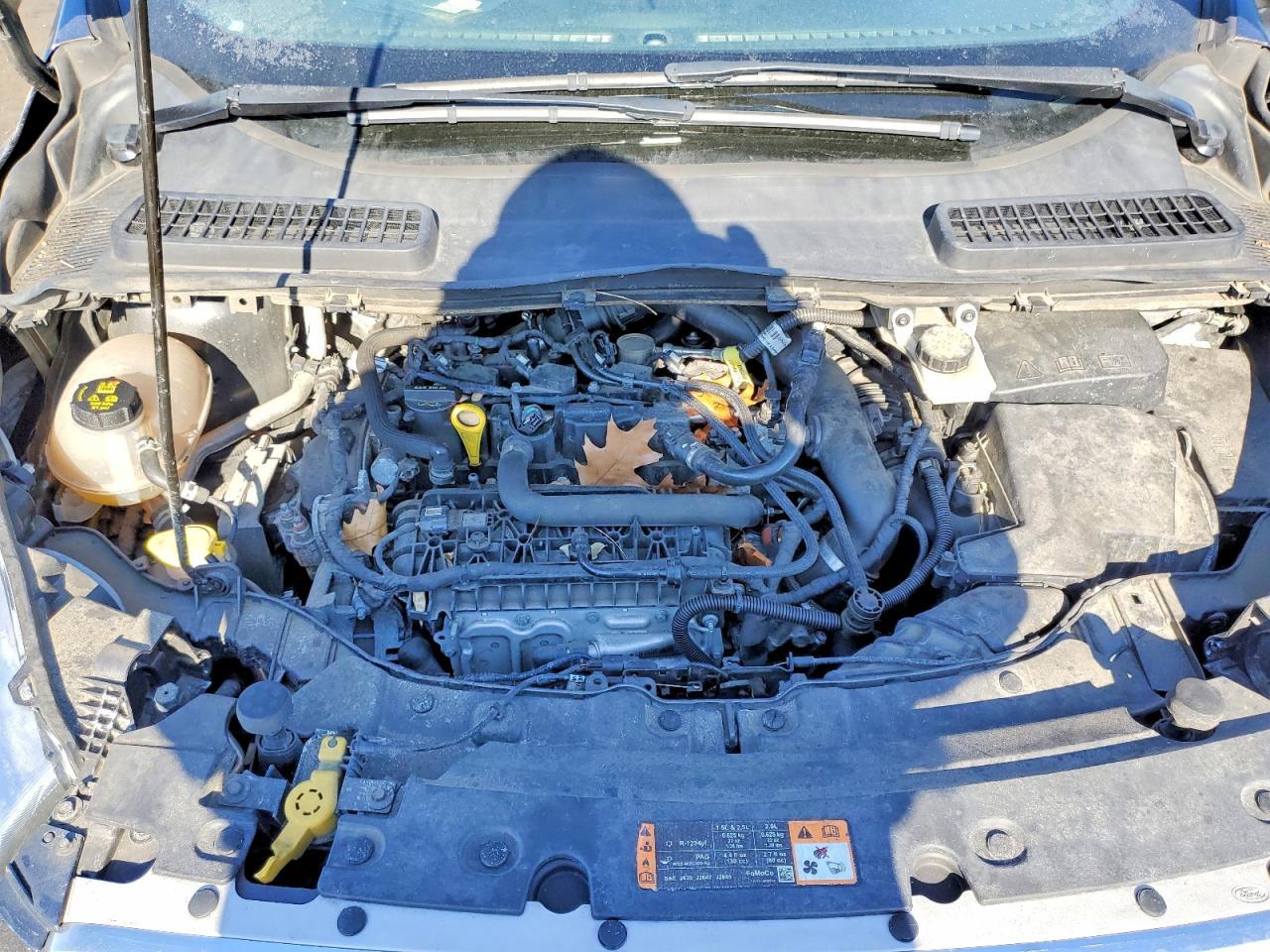 2019 Ford Escape se
