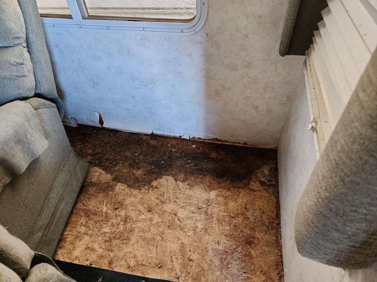 1999 Nuwa Hitchhiker