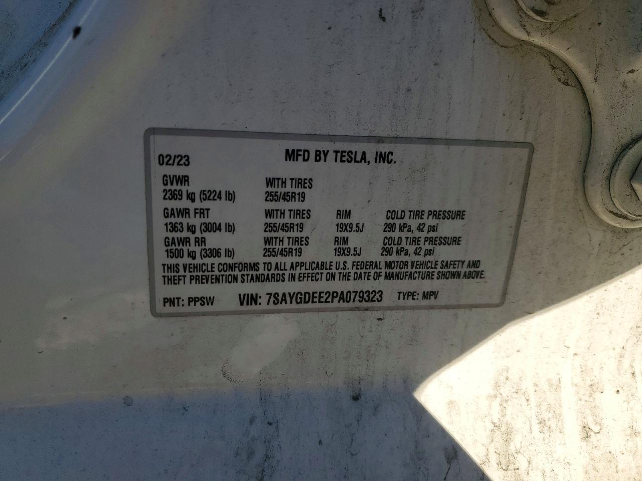 2023 Tesla Model y