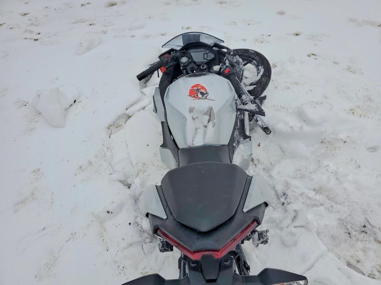 2024 Kawasaki EX500