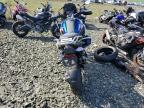2024 BMW R 1300 GS