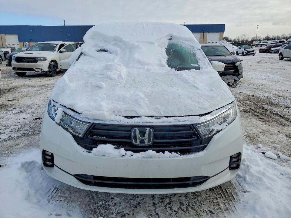 2021 Honda Odyssey exl